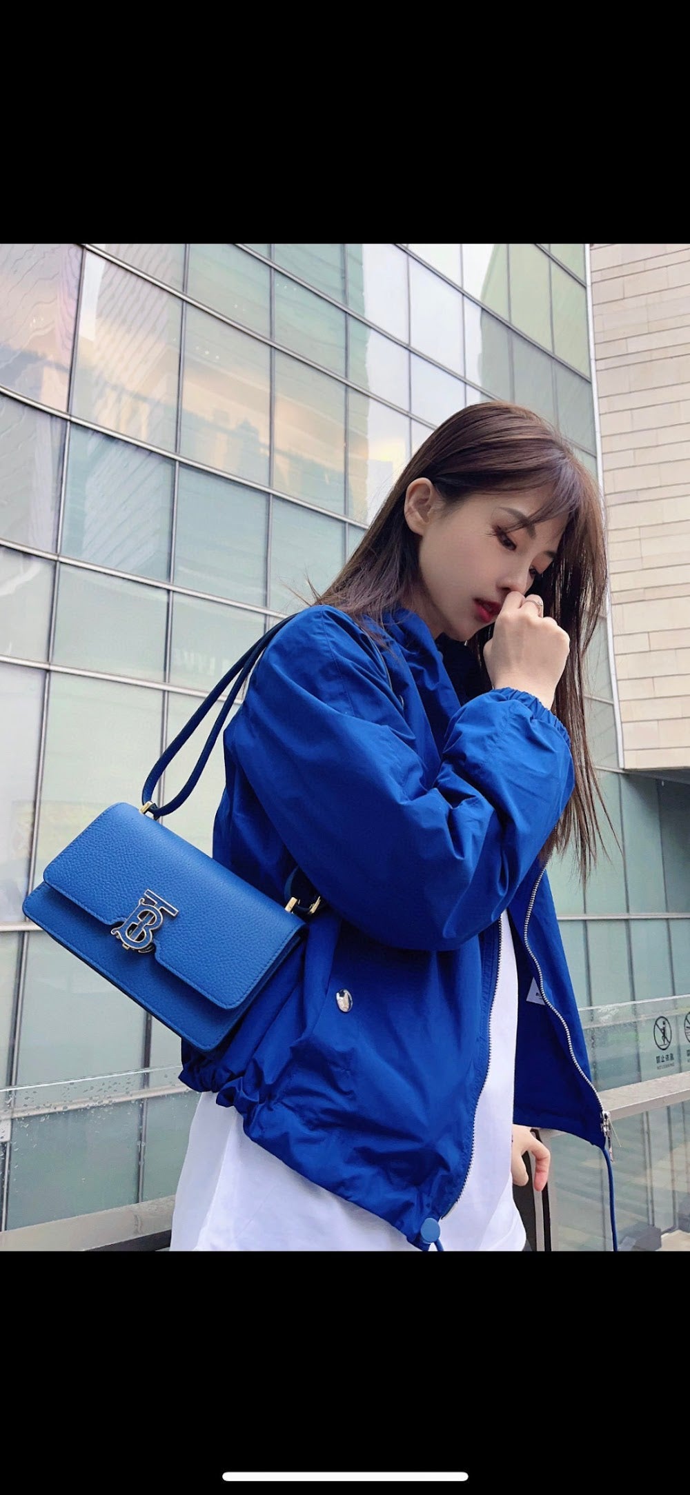Dragons Bags Burberryn Luxury Bag --91607