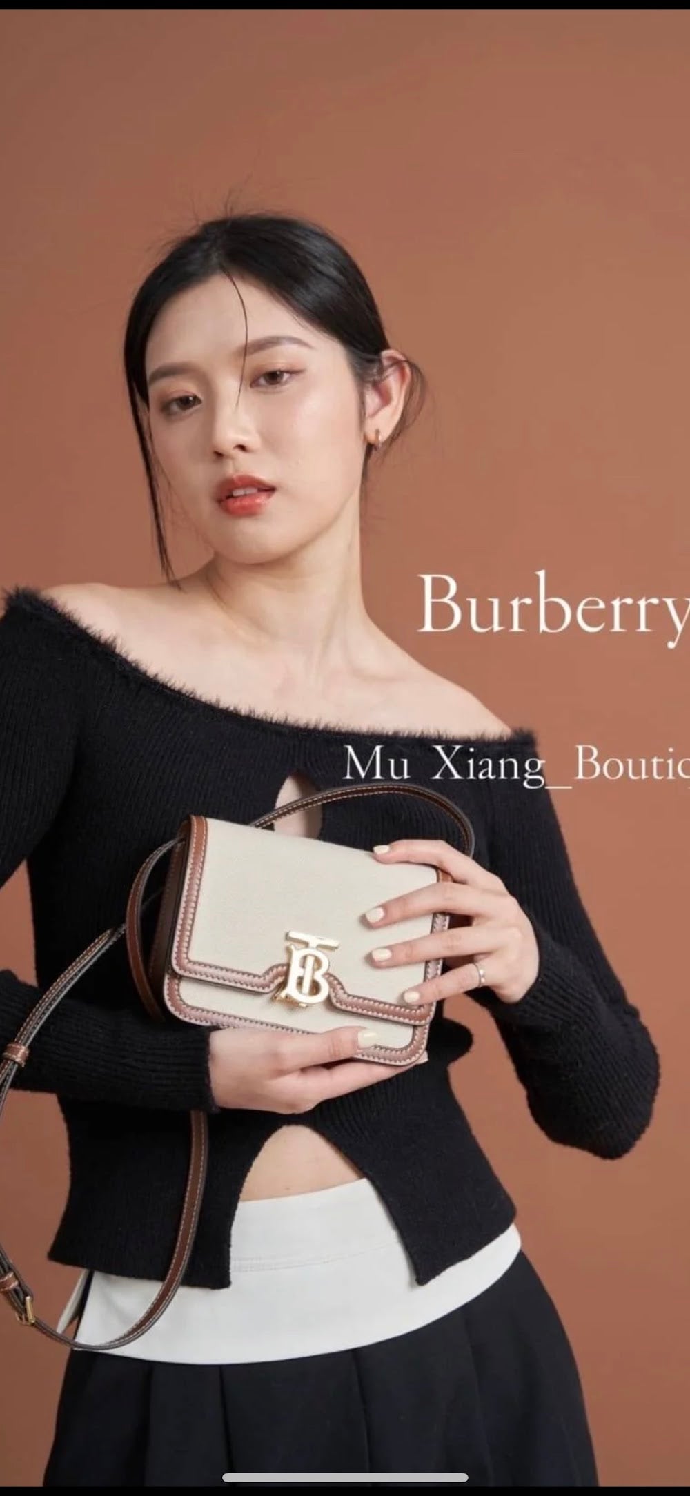 Dragons Bags Burberryn Luxury Bag --91618