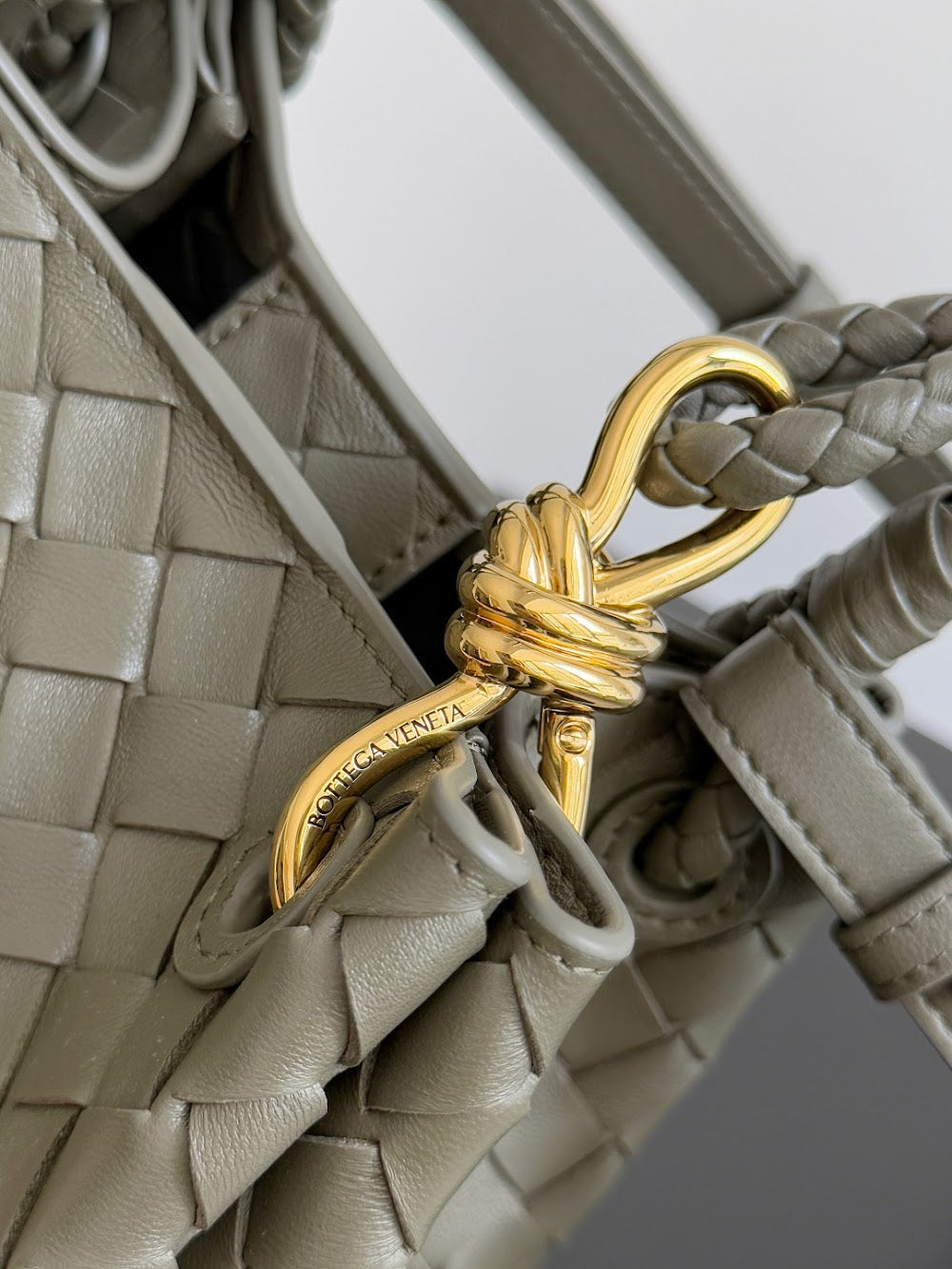 Dragons Bags Bottegan Luxury Bag --90471