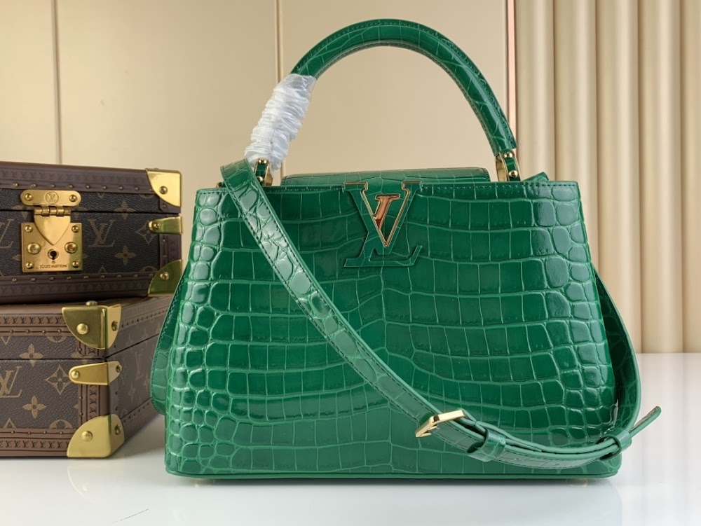 Dragons Bags ln Luxury Bag --67366