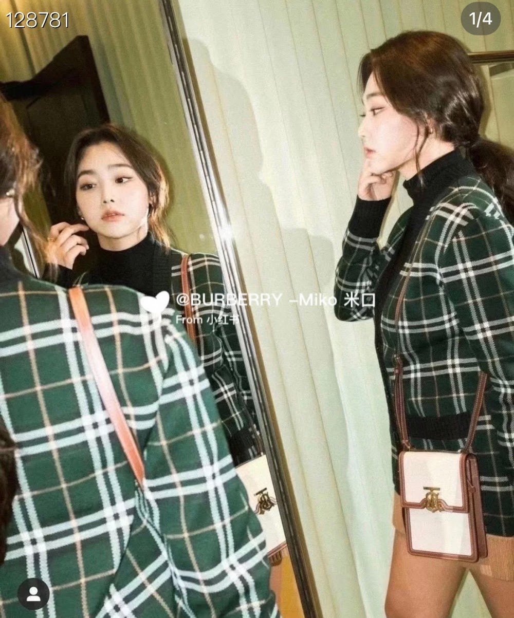 Dragons Bags Burberryn Luxury Bag --91604