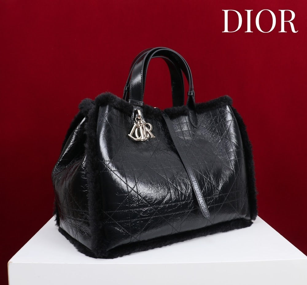 Dragons BagsDiorn Luxury Bag --116118