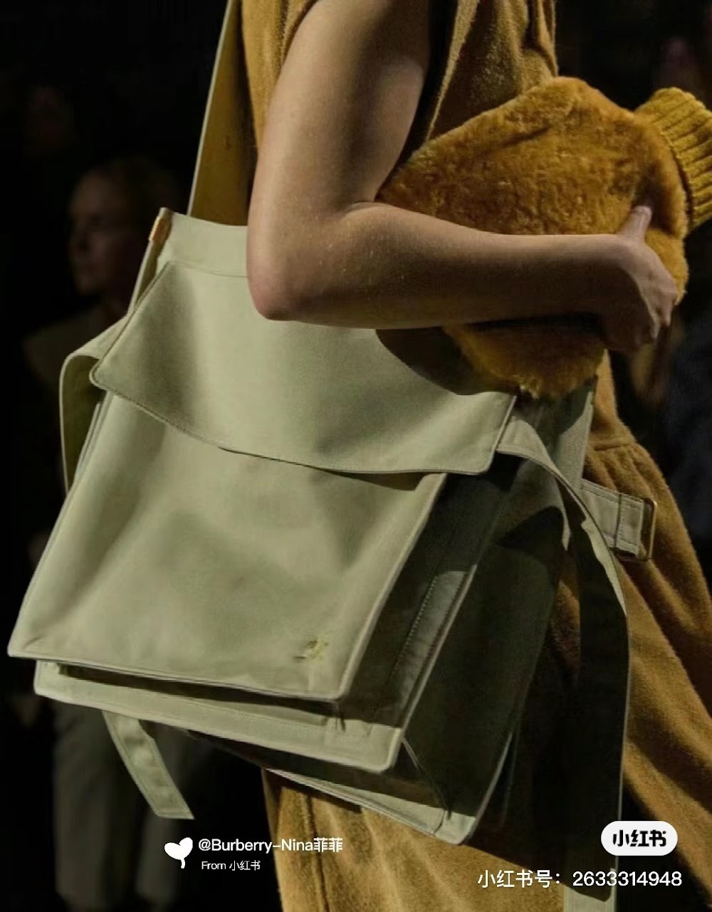Dragons Bags Luxury Bag --50229