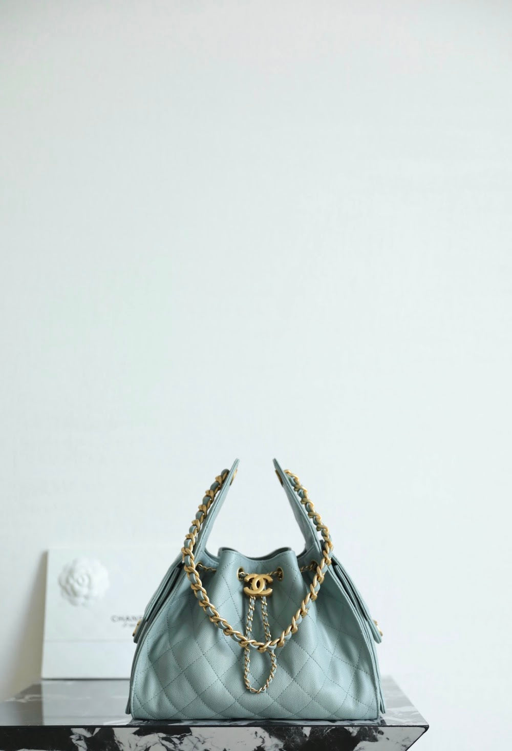 Dragons BagsCHn Luxury Bag --113704