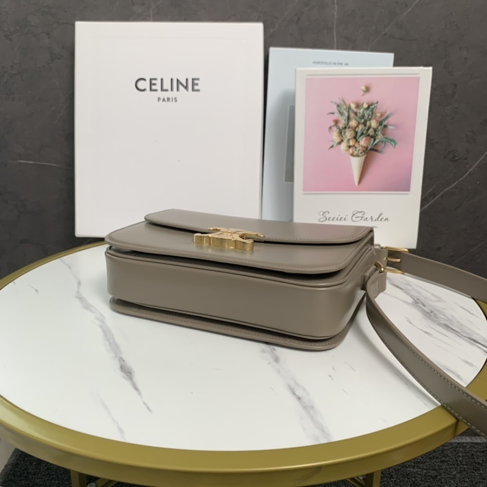 Dragons Bags Celine Luxury Bag --112001