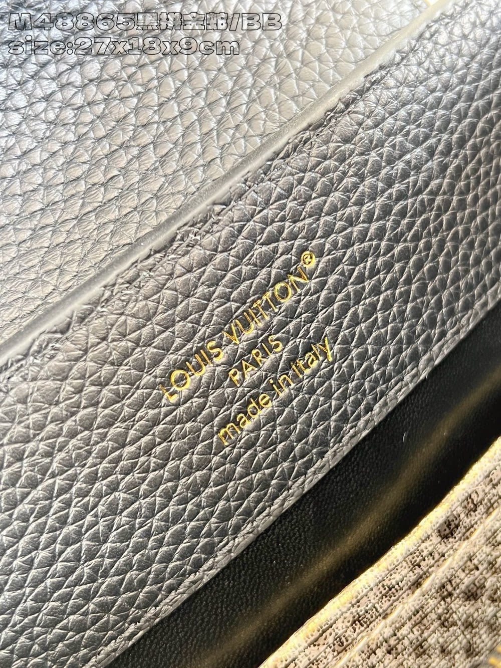 Dragons Bags ln Luxury Bag --95900