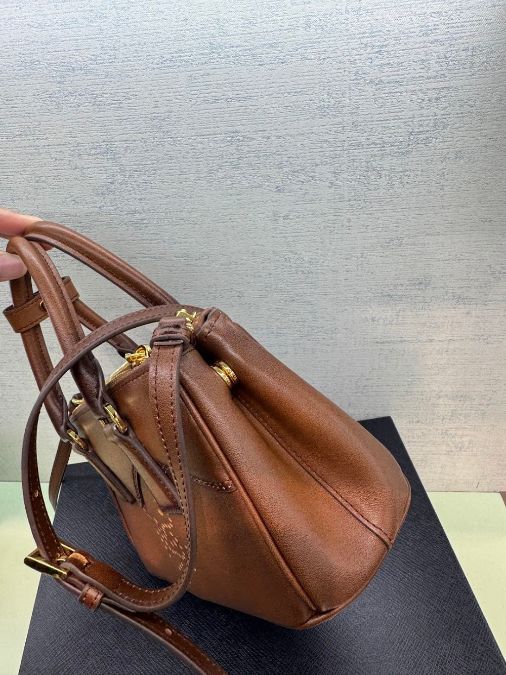 Dragons Bags Pradn Luxury Bag --102958