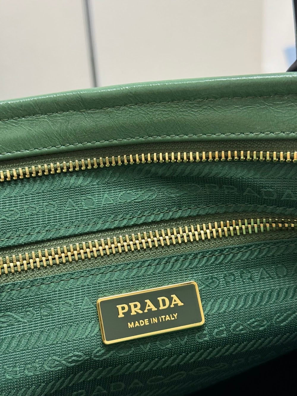 Dragons Bags Pradn Luxury Bag --101365