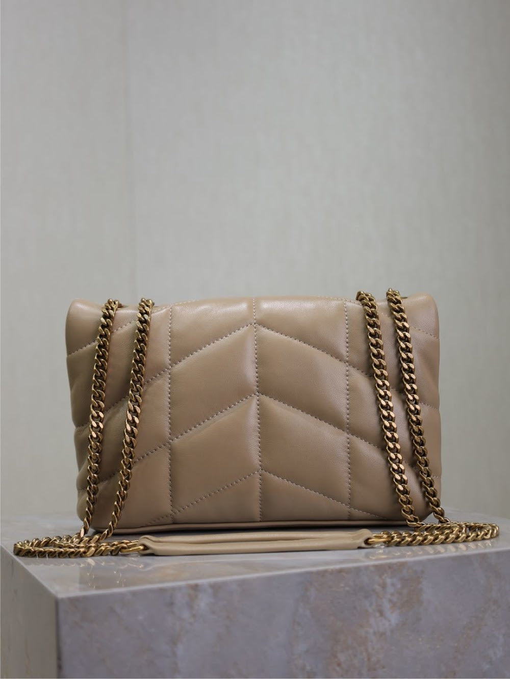 Dragons Bags YSLn Luxury Bag --119431