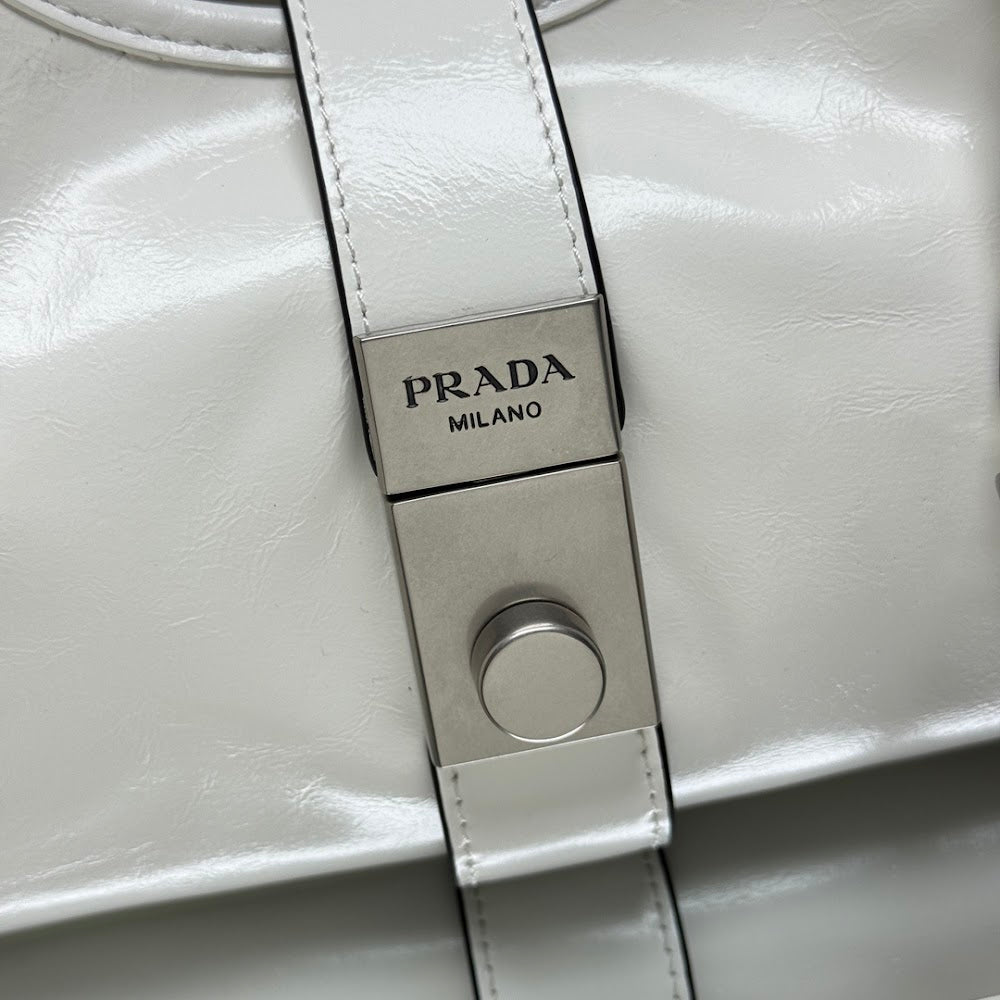 Dragons Bags Pradn Luxury Bag --101803