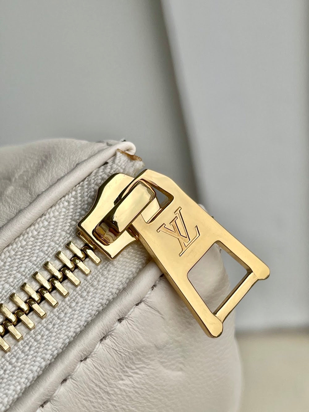 Dragons Bags ln Luxury Bag --59617