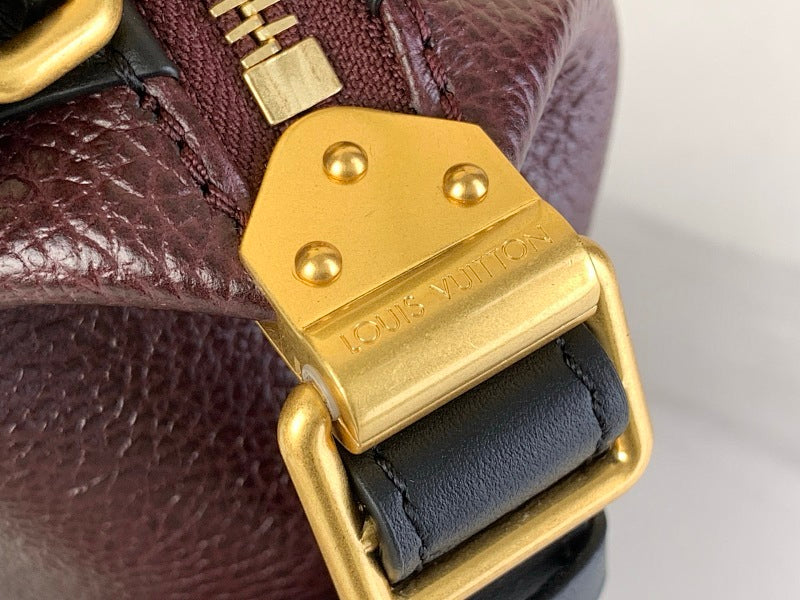 Dragons Bags ln Luxury Bag --62820