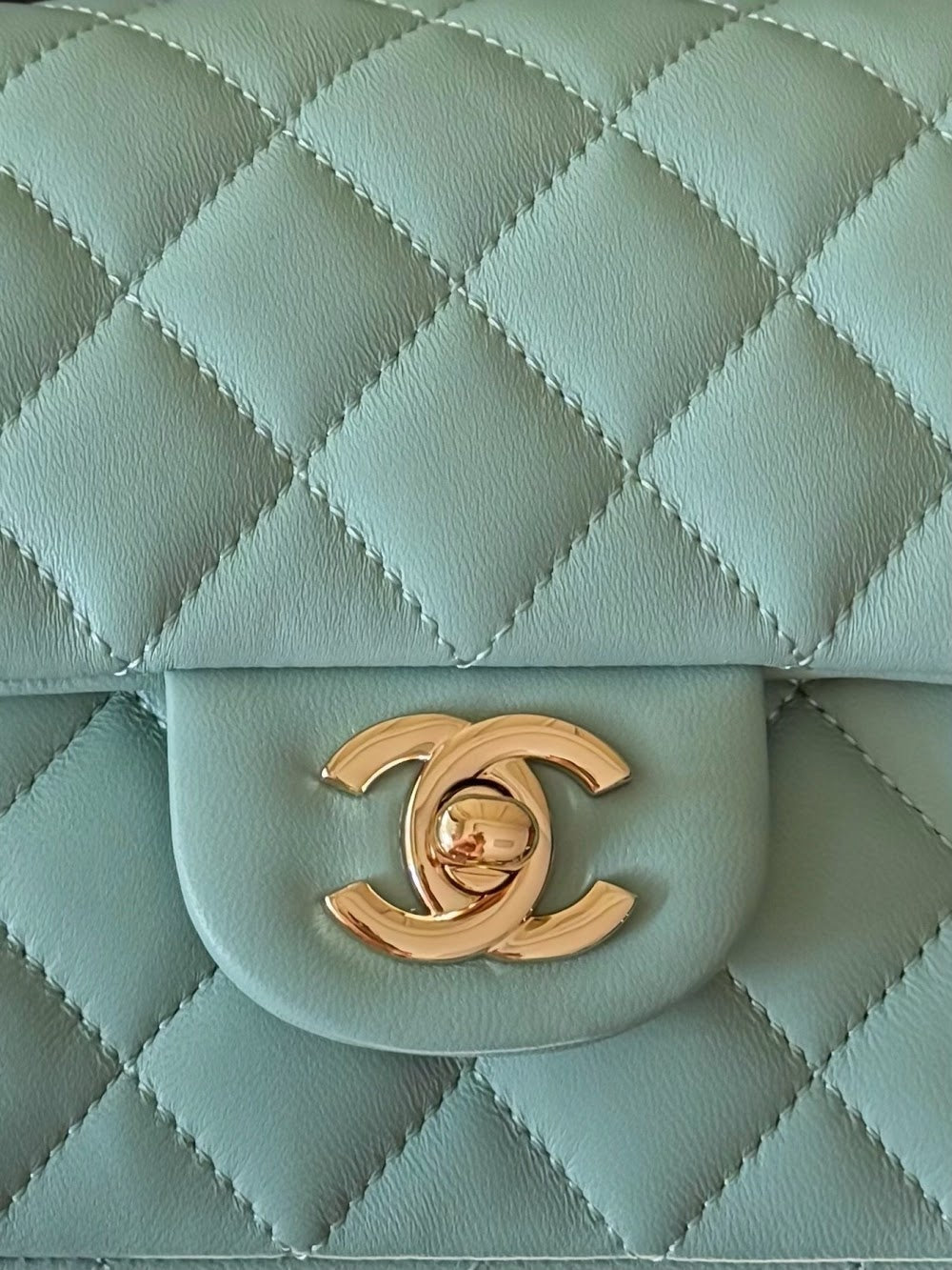 Dragons Bags CHn Luxury Bag --112979