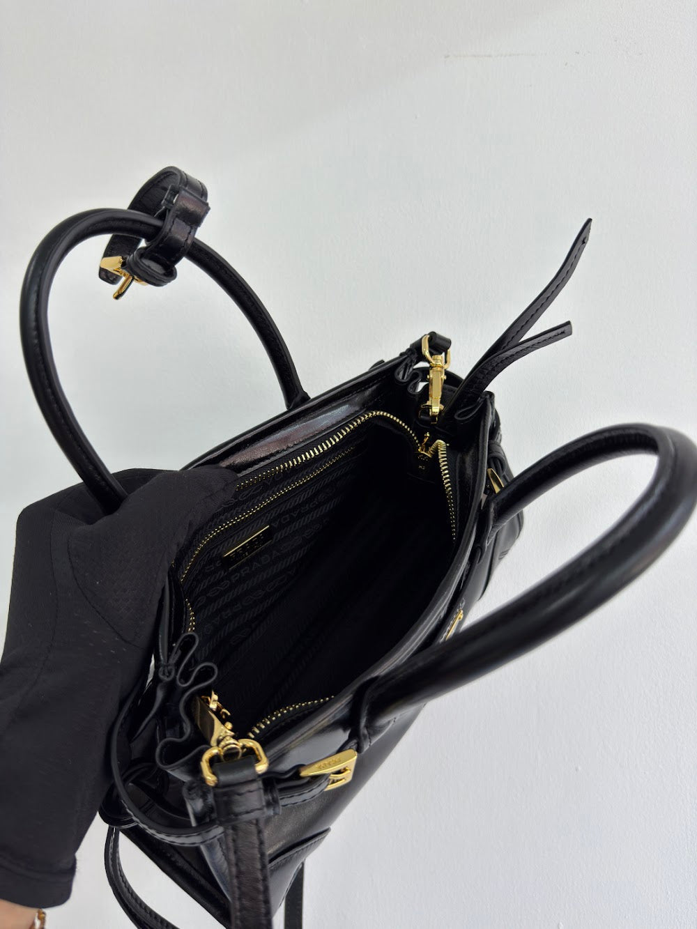 Dragons Bags Pradn Luxury Bag --102489
