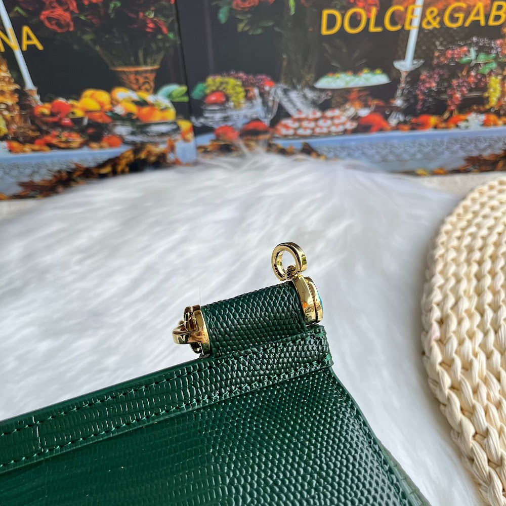 Dragons Bags DGn Luxury Bag --94173