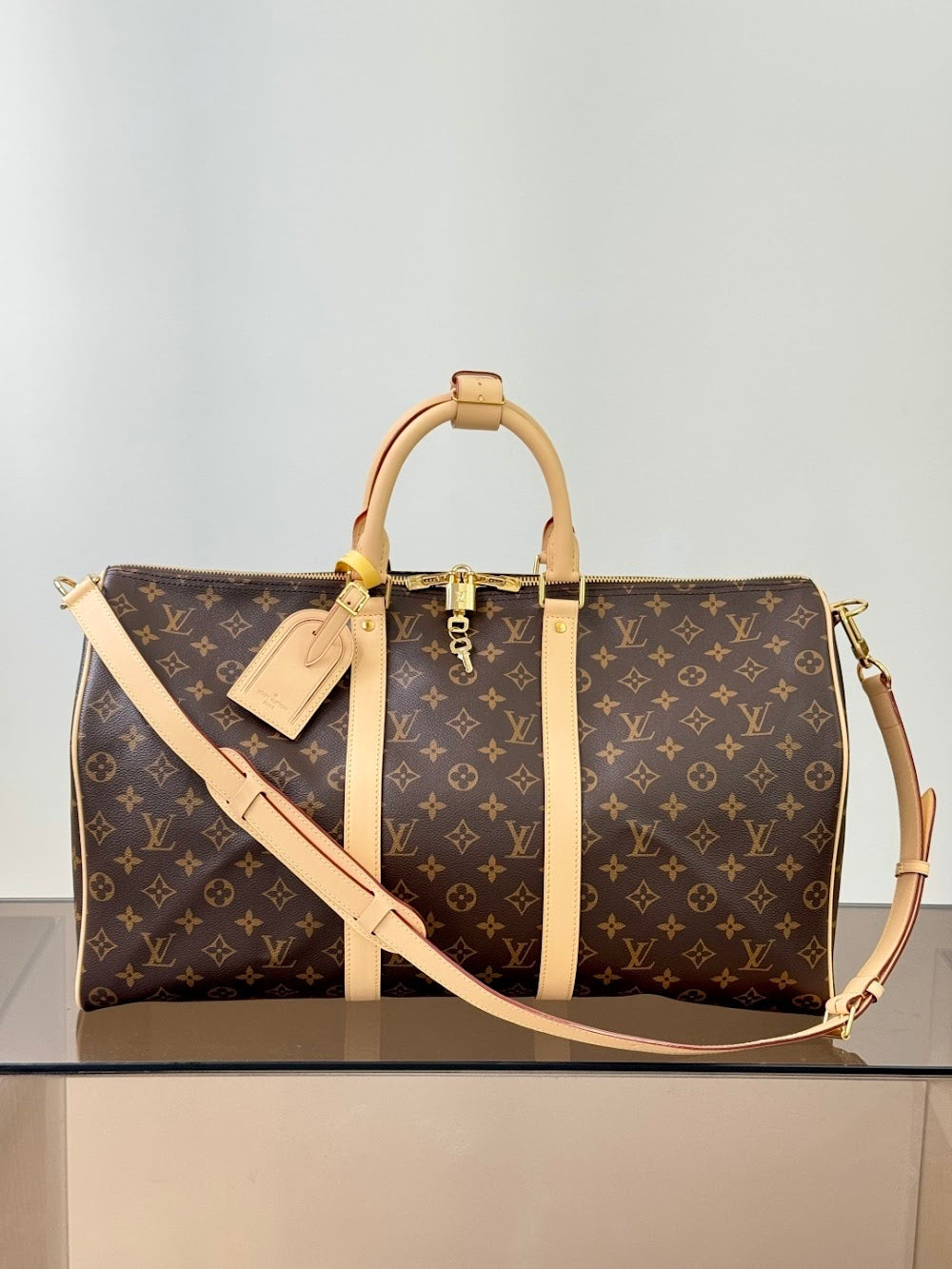 Dragons Bags ln Luxury Bag --96784
