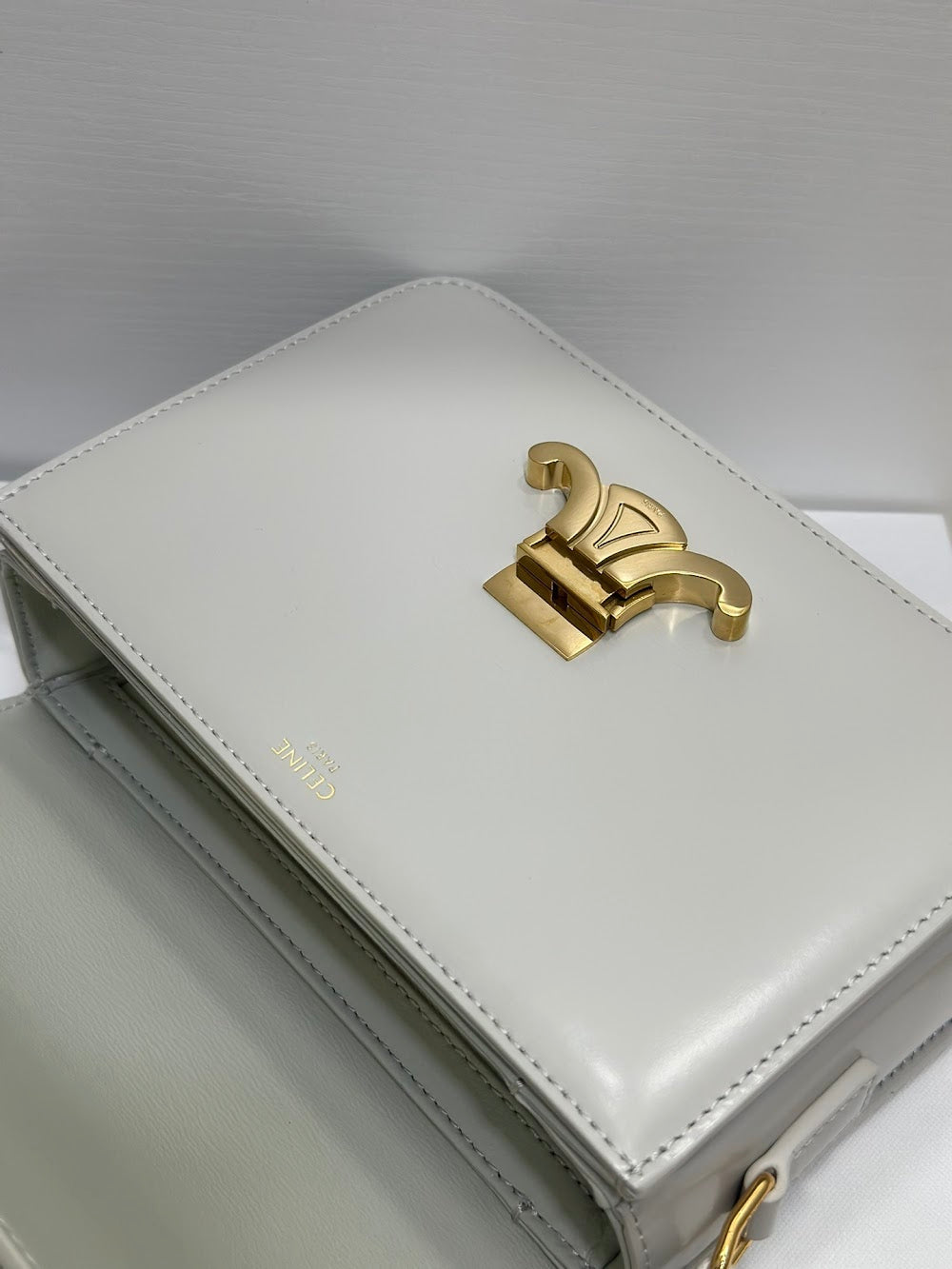 Dragons Bags Celine Luxury Bag --111998