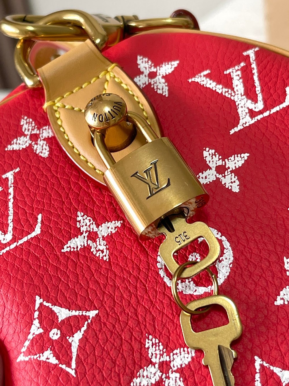 Dragons Bags ln Luxury Bag --97310