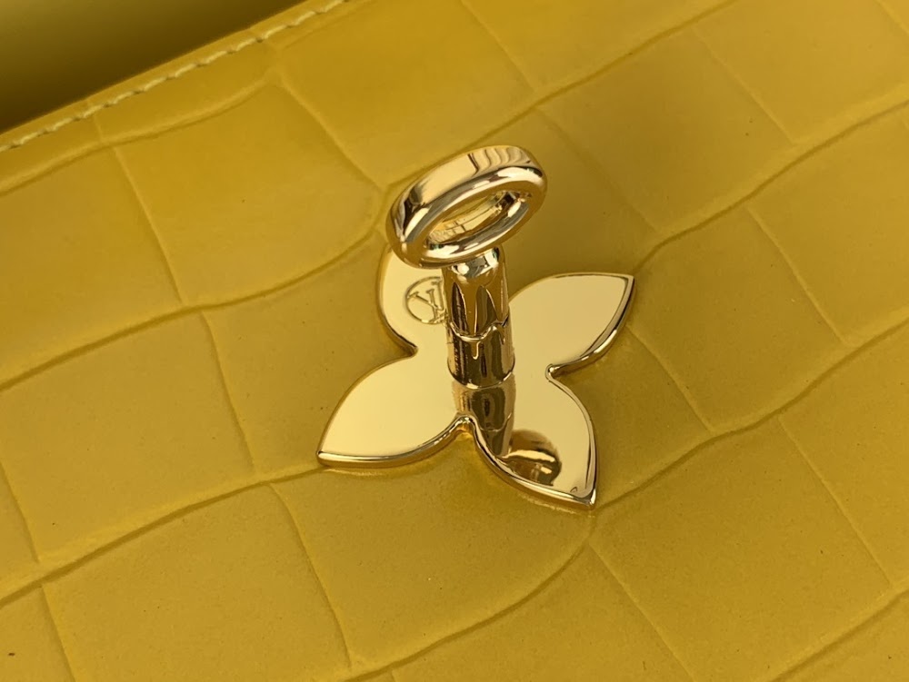 Dragons Bags ln Luxury Bag --69544