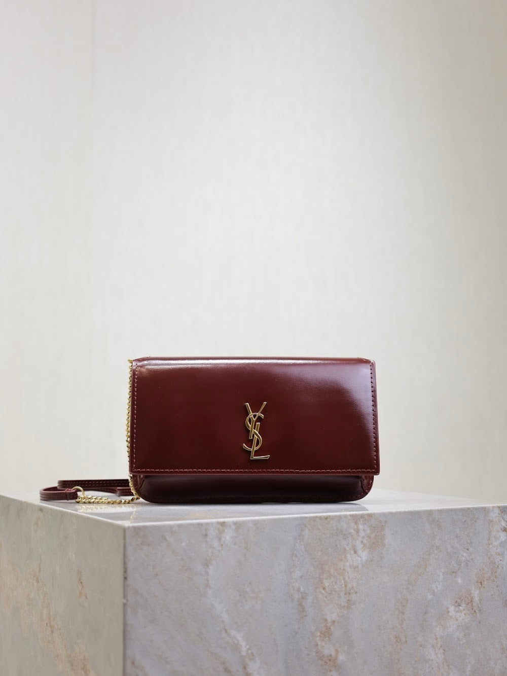 Dragons Bags YSLn Luxury Bag --120481