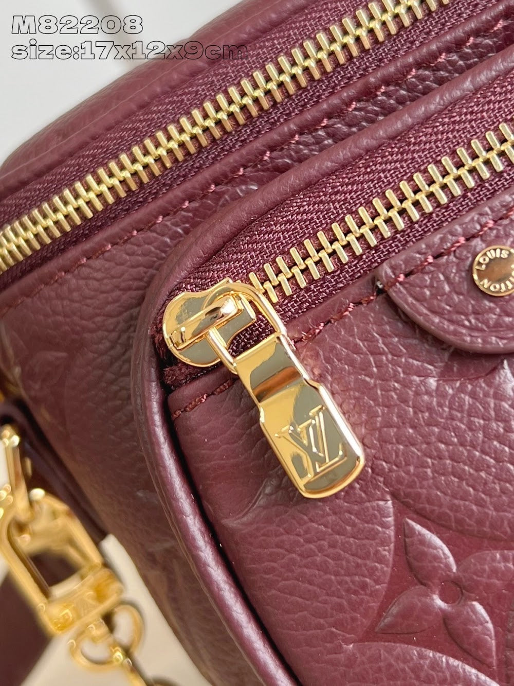 Dragons Bags ln Luxury Bag --96877