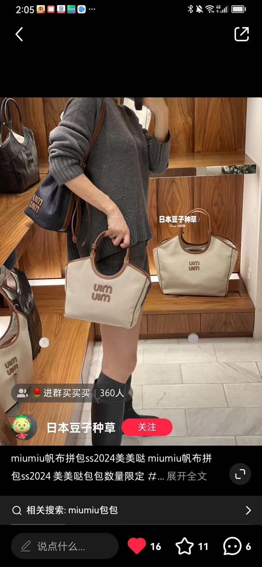 Dragons Bags Miun Miun Luxury Bag --122914