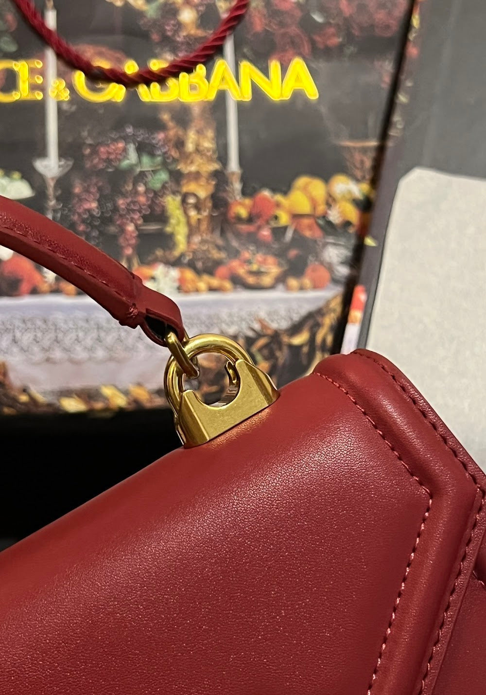 Dragons Bags DGn Luxury Bag --93885
