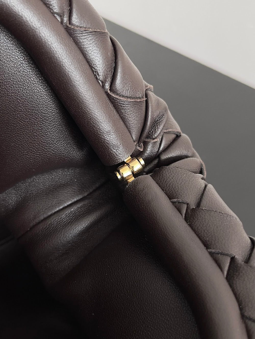 Dragons Bags Bottegan Luxury Bag --91234