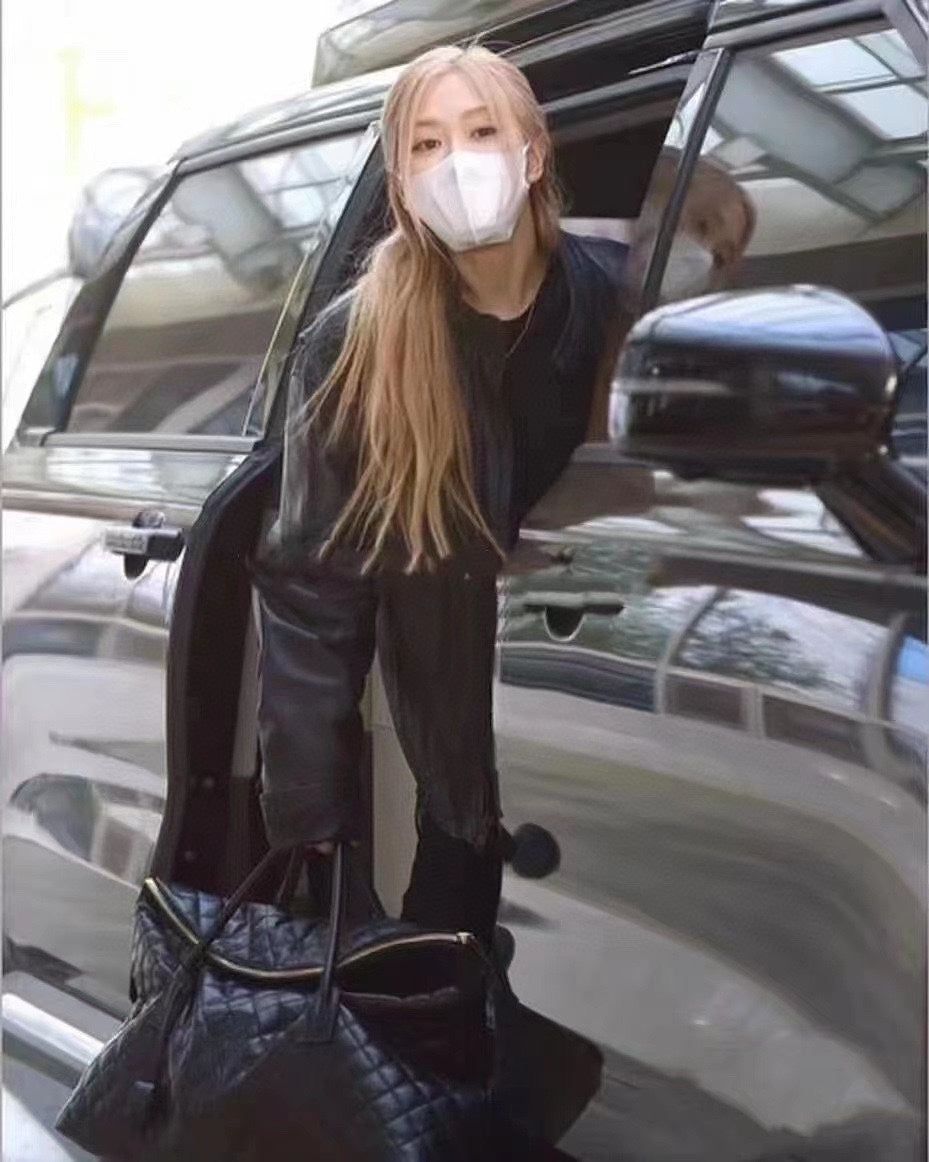 Dragons Bags YSLn Luxury Bag --120208