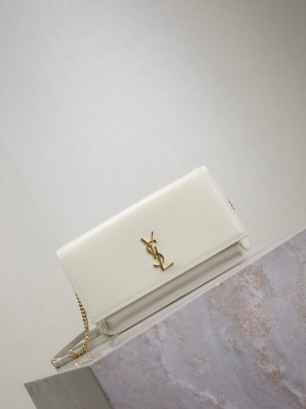 Dragons Bags YSLn Luxury Bag --120479