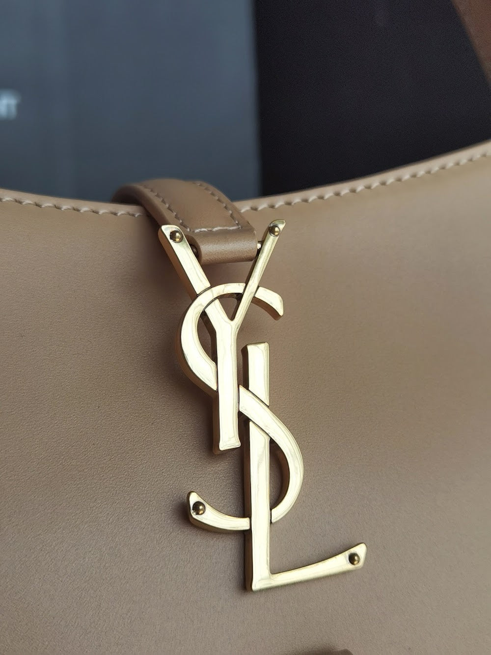 Dragons Bags YSLn Luxury Bag --120141