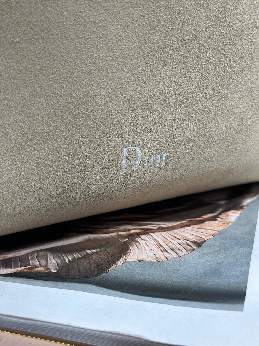 Dragons BagsDiorn Luxury Bag --115535