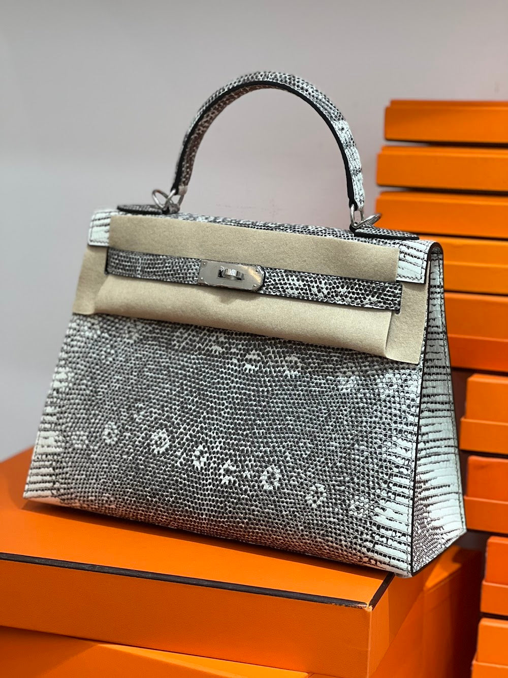 Dragons BagsHermesn Luxury Bag --117123