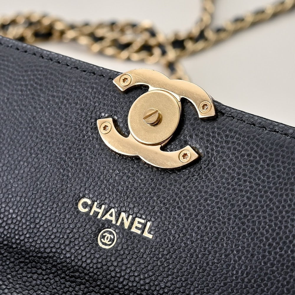 Dragons BagsCHn Luxury Bag --114287