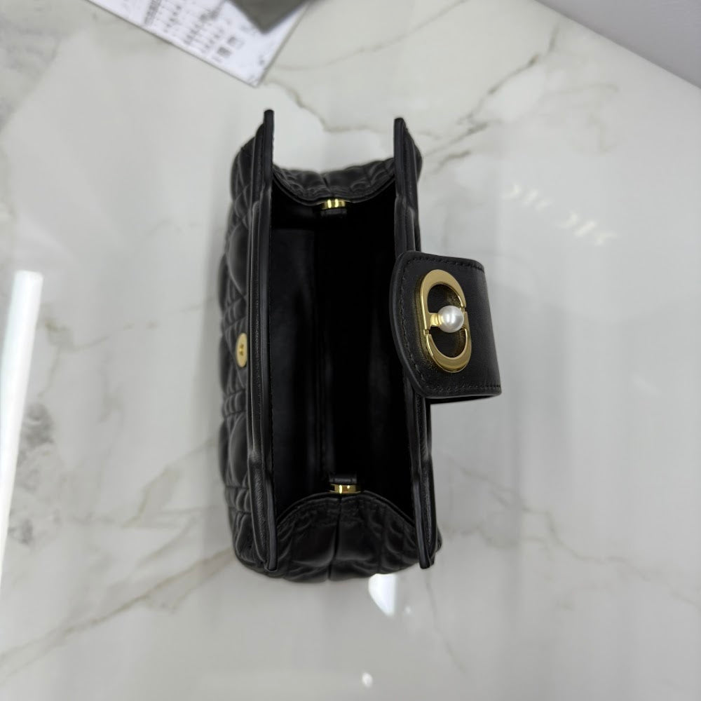 Dragons BagsDiorn Luxury Bag --115643