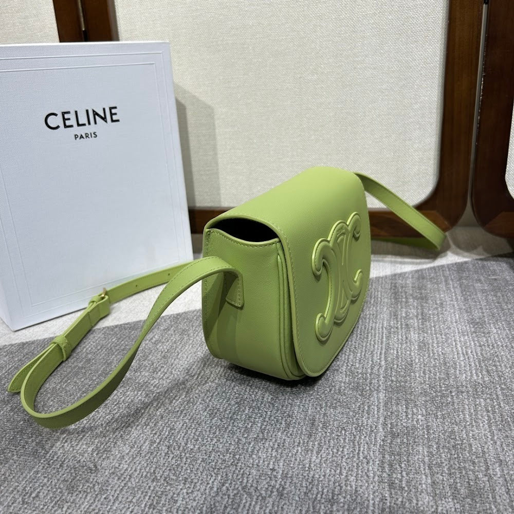 Dragons Bags Celine Luxury Bag --112248