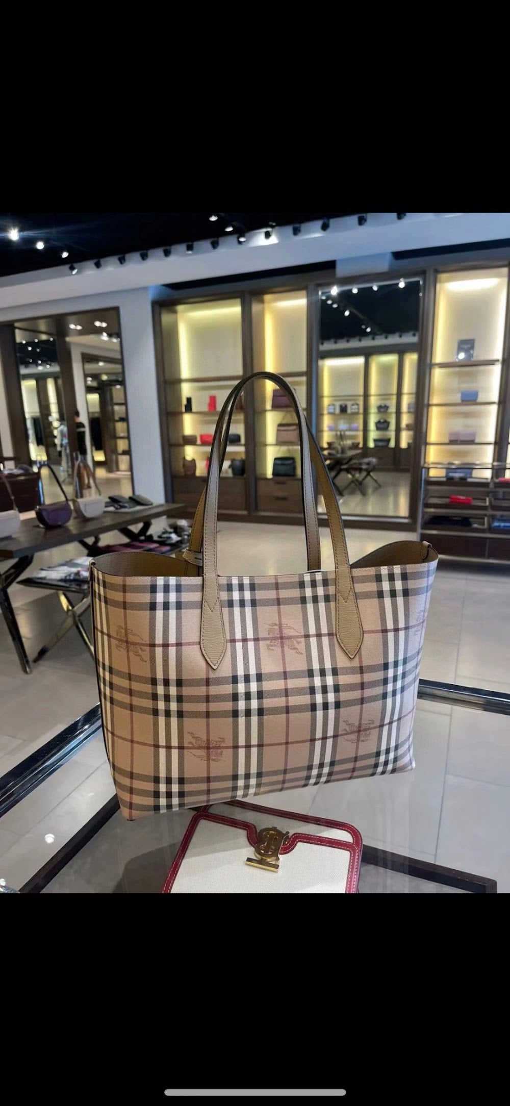 Dragons Bags Burberryn Luxury Bag --91687