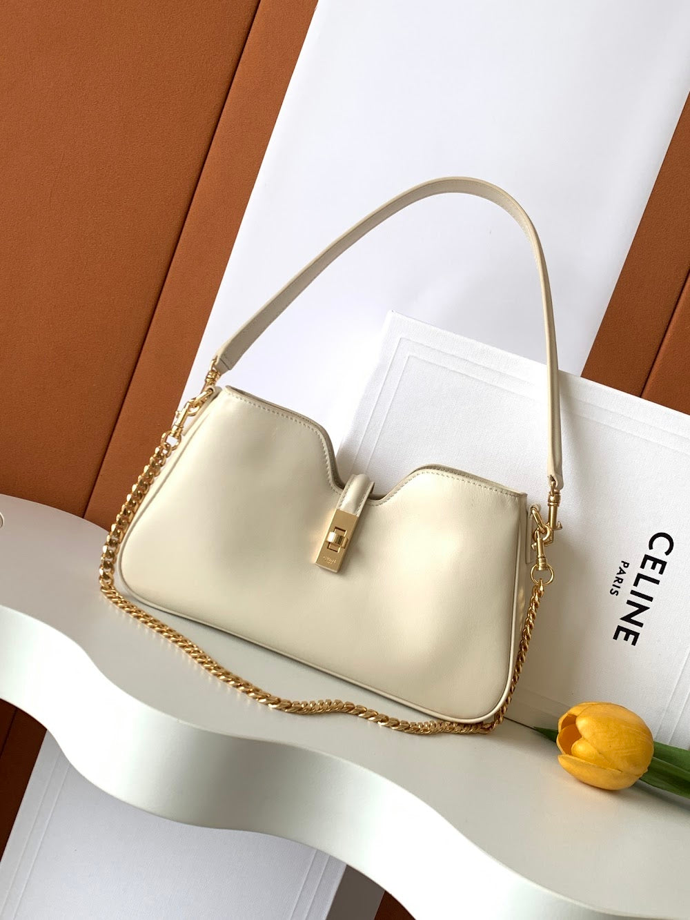 Dragons Bags Celine Luxury Bag --112087
