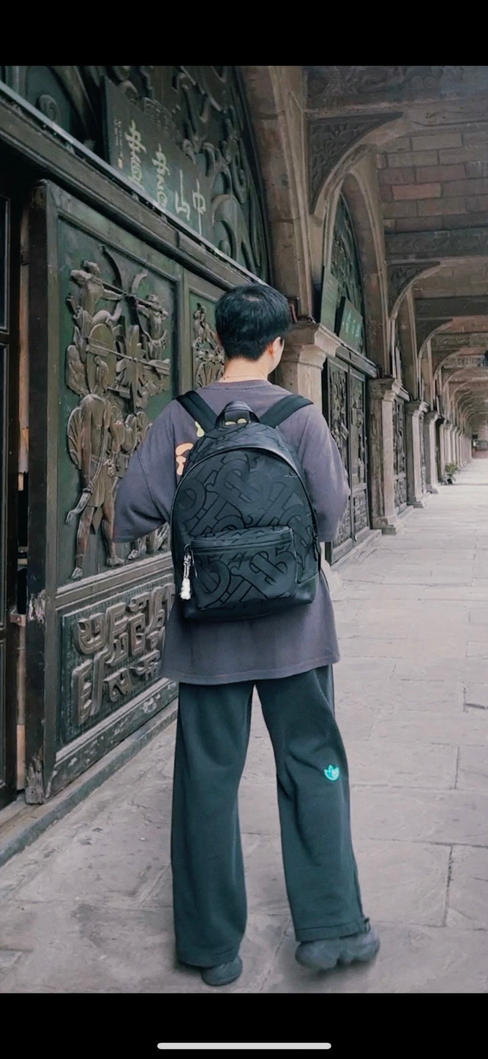 Dragons Bags Burberryn Luxury Bag --93039