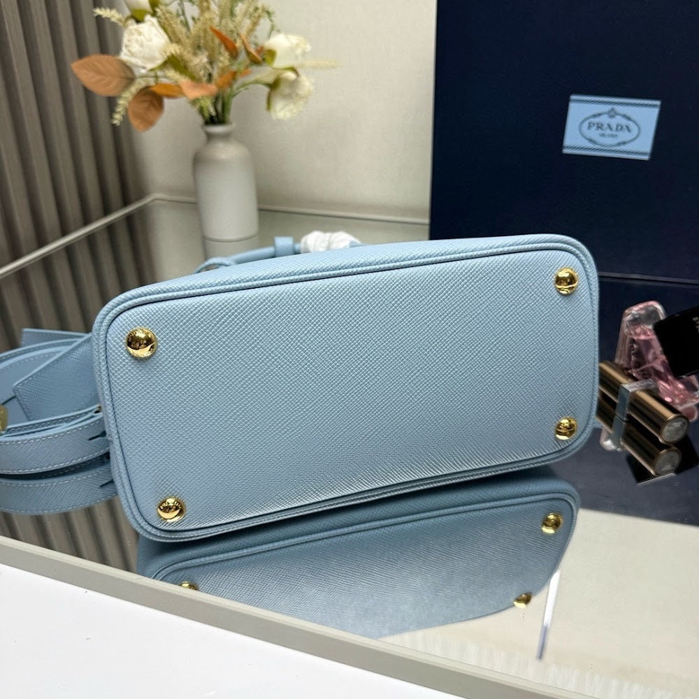 Dragons Bags Pradn Luxury Bag --102220