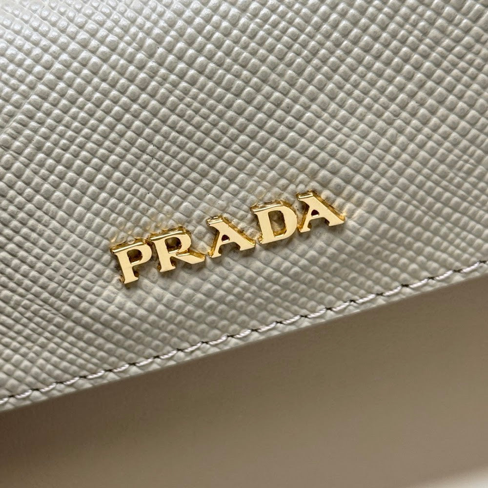 Dragons Bags Pradn Luxury Bag --102222
