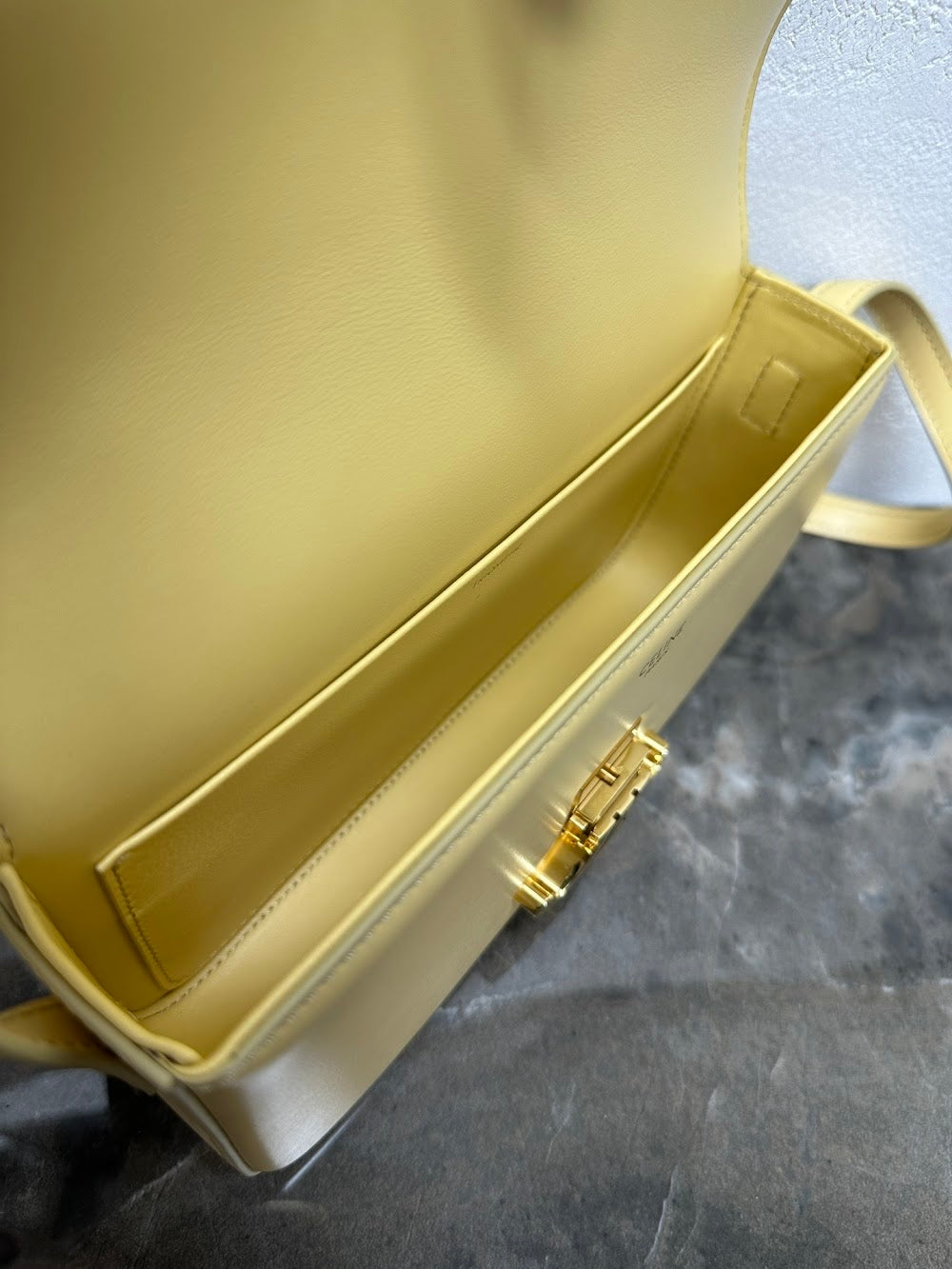 Dragons Bags Celine Luxury Bag --112424