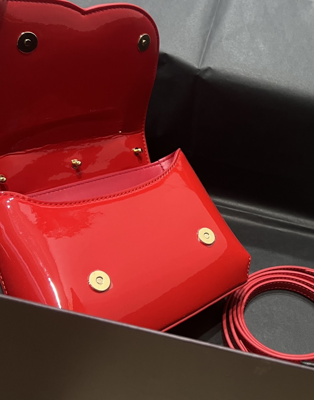 Dragons Bags DGn Luxury Bag --93772