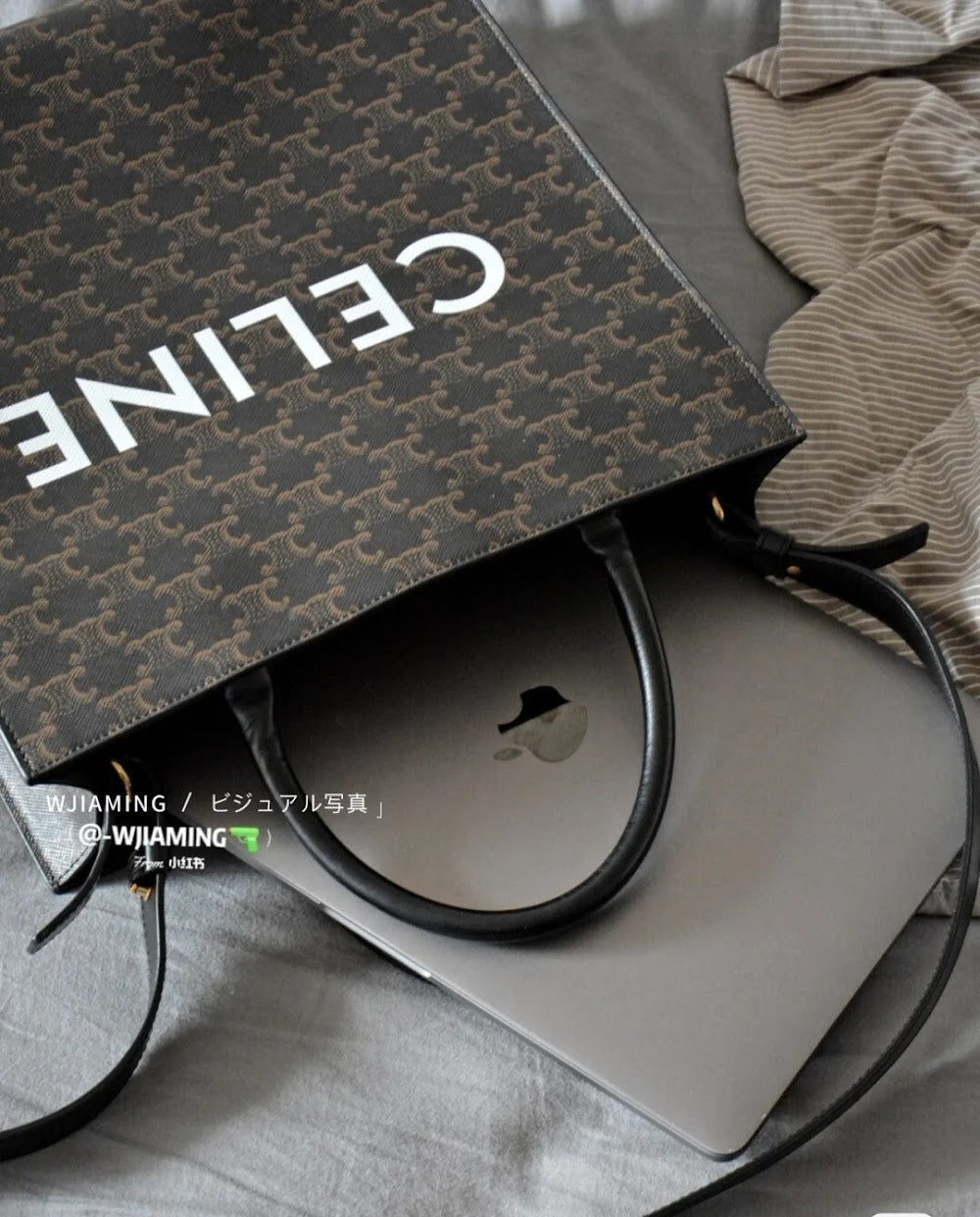 Dragons Bags Celine Luxury Bag --112058