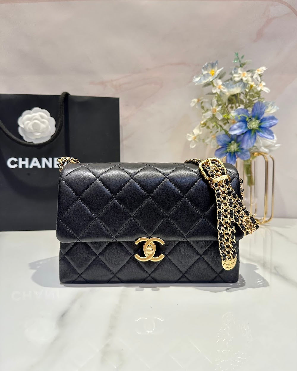 Dragons BagsCHn Luxury Bag --114113