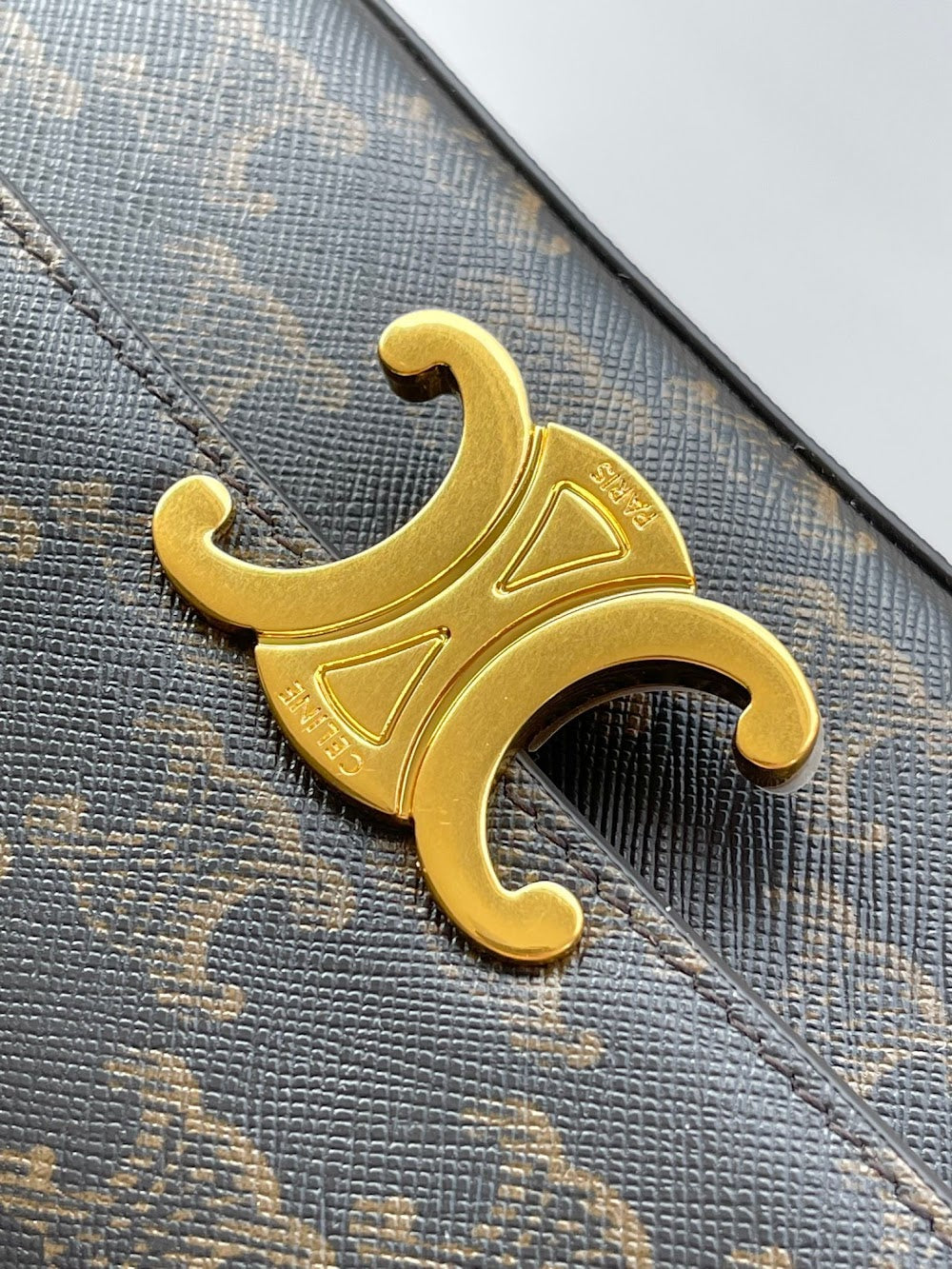 Dragons Bags Celine Luxury Bag --112312