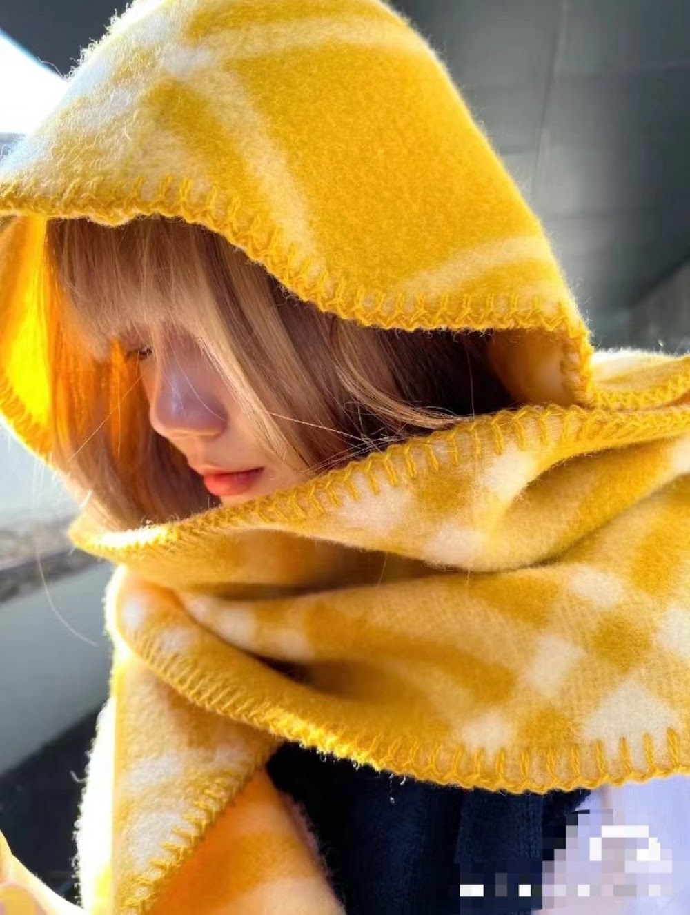 Dragons Bags Premium Designer Scarf --99636