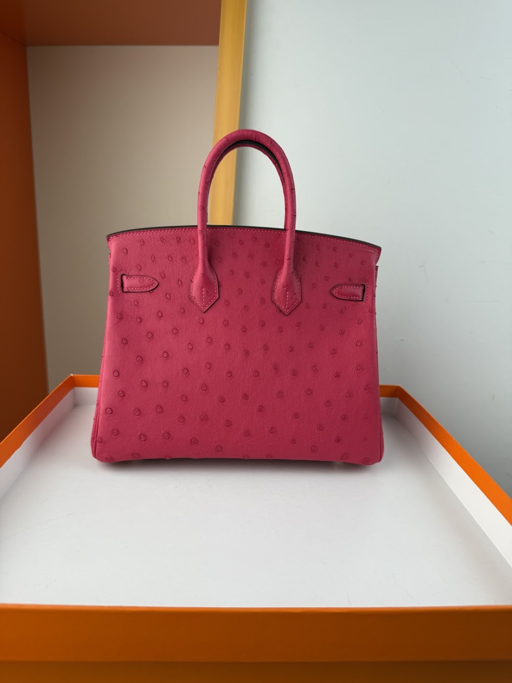 Dragons BagsHermesn Luxury Bag --116763