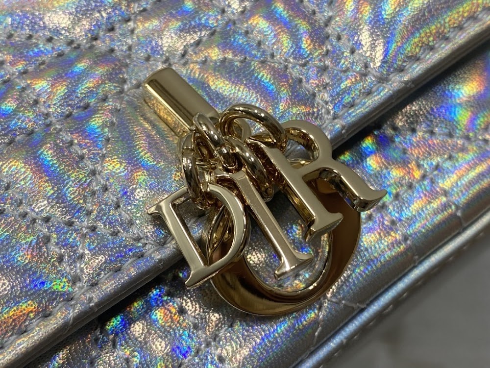 Dragons BagsDiorn Luxury Bag --114991