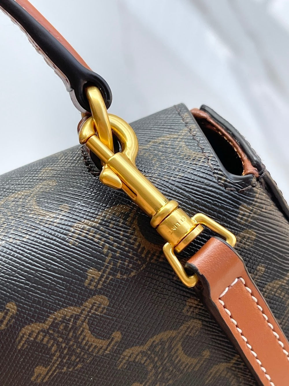 Dragons Bags Celine Luxury Bag --112312